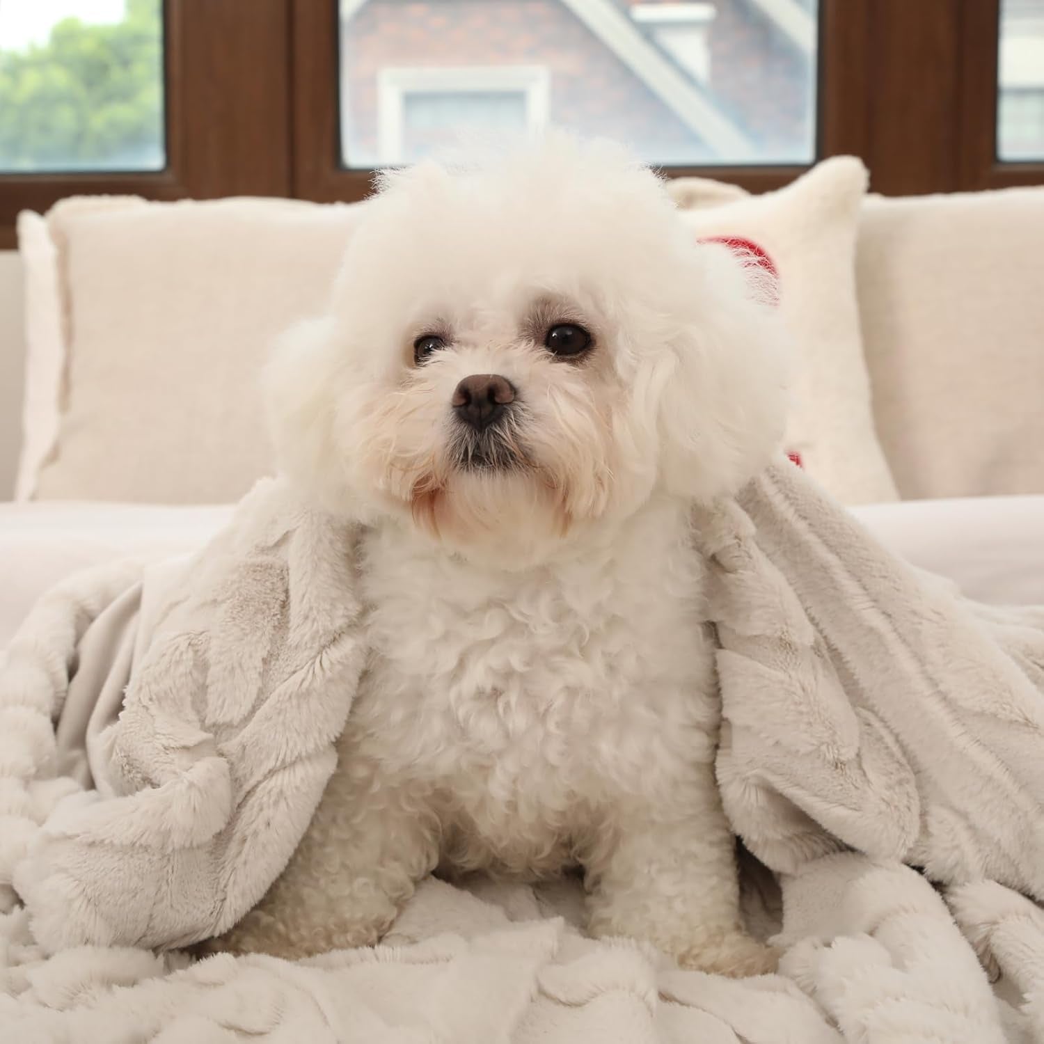 Faux Fur Throw Blanket for Couch, Jacquard Fuzzy Plush Soft Thick Winter Throw Blanket for Sofa Bed Living Room Bedroom，60"X80" Beige